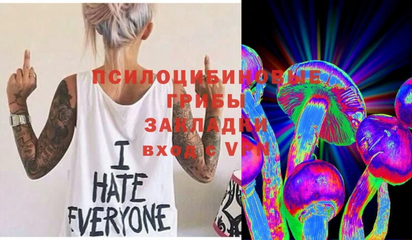 прущая мука Горно-Алтайск